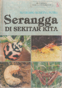 Image of Serangga di Sekitar Kita