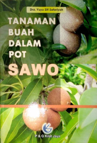 Image of Tanaman Buah dalam Pot : Sawo